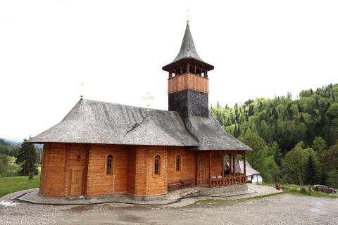 Mănăstirea Paltin